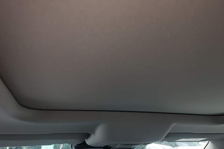 Used Haval DARGO 2021 2.0T DCT Two-Wheel Drive Chinese Mastiff Edition Headliner