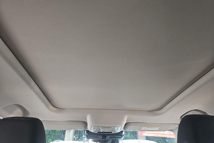 Used Haval DARGO 2021 1.5T DCT Two-Wheel Drive Border Collie Edition Headliner