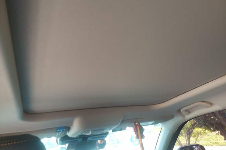 Used Haval DARGO 2021 1.5T DCT Two-Wheel Drive Labrador Edition Headliner