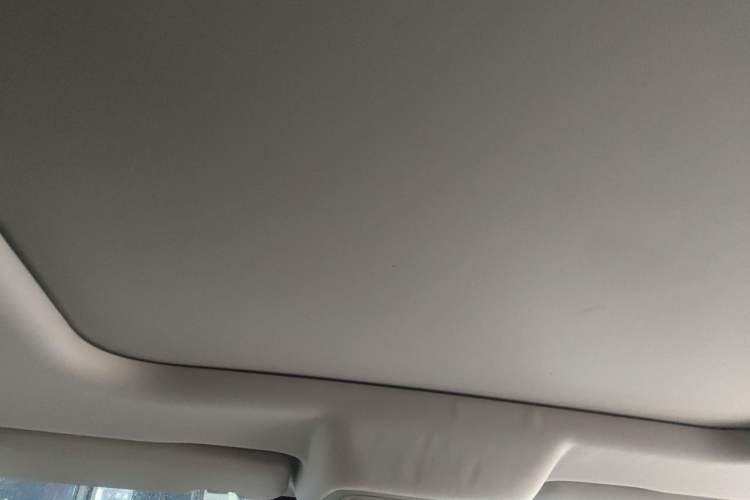 Used Haval DARGO 2021 1.5T DCT Two-Wheel Drive "Mǎquǎn" Edition Headliner