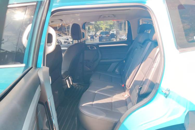 Used Haval DARGO 2021 2.0T DCT 4x4 Chinese Rural Dog Edition Interior 4