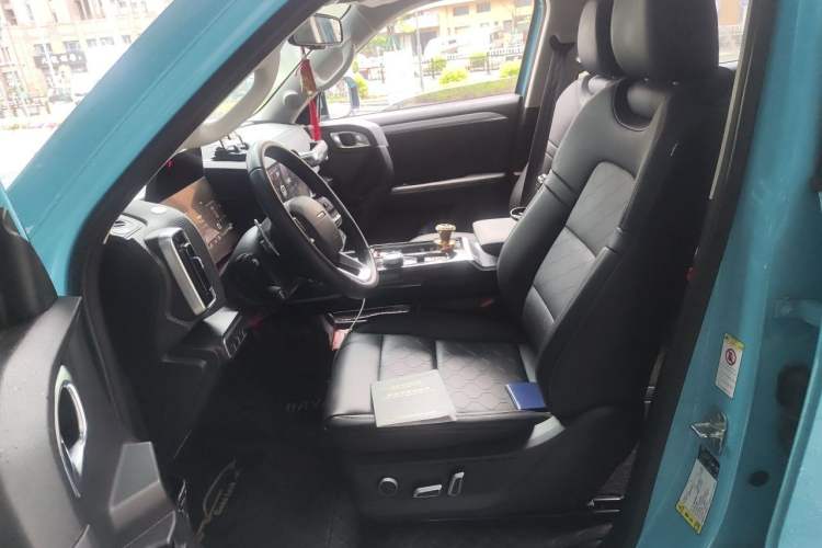 Used Haval DARGO 2021 1.5T DCT Two-Wheel Drive "Mǎquǎn" Edition Left Front Seat
