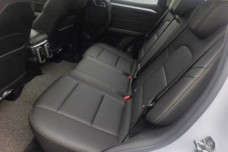 Used Haval DARGO 2021 2.0T DCT Two-Wheel Drive Chinese Mastiff Edition Left Rear Seat