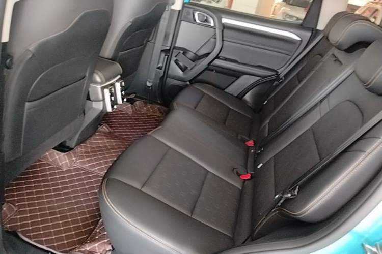 Used Haval DARGO 2021 1.5T DCT Two-Wheel Drive "Mǎquǎn" Edition Left Rear Seat