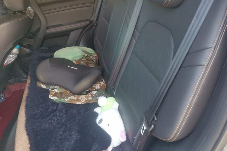 Used Haval DARGO 2021 1.5T DCT Two-Wheel Drive Labrador Edition Left Rear Seat