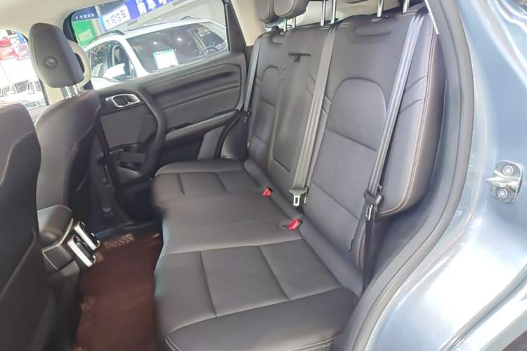 Used Haval DARGO 2021 1.5T DCT Two-Wheel Drive Labrador Edition Left Rear Seat