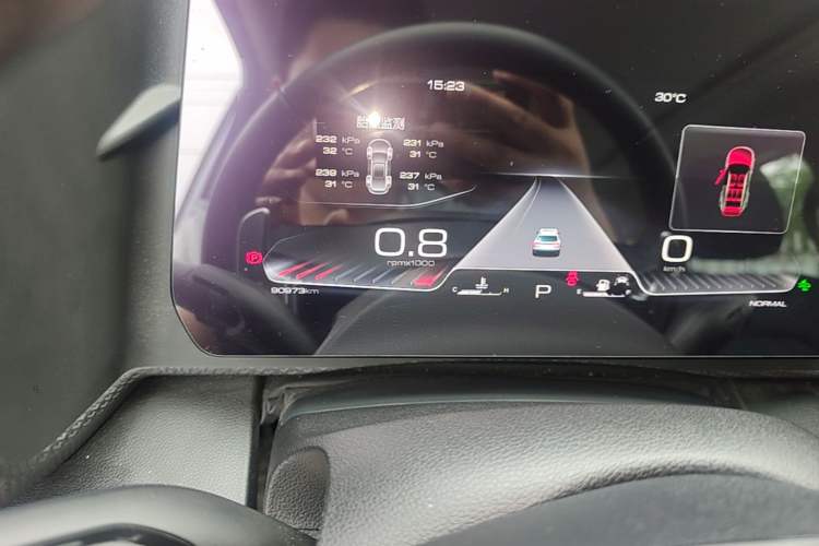 Used Haval DARGO 2021 2.0T DCT Two-Wheel Drive Chinese Mastiff Edition Odometer Close Up
