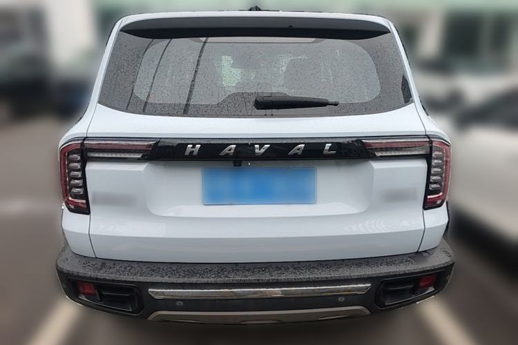 Used Haval DARGO 2021 2.0T DCT Two-Wheel Drive Chinese Mastiff Edition Rear