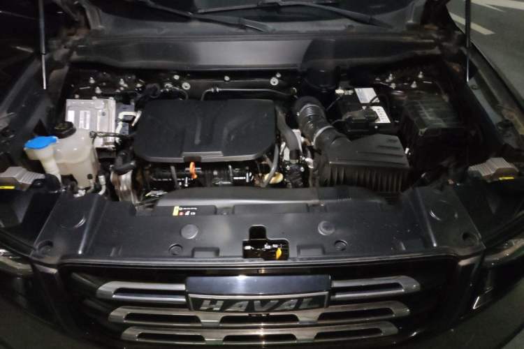 Used Haval DARGO 2021 2.0T DCT Two-Wheel Drive Chinese Mastiff Edition Engine Bay