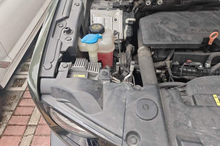 Used Haval DARGO 2021 1.5T DCT Two-Wheel Drive "Wangcai" Edition Engine Bay Left