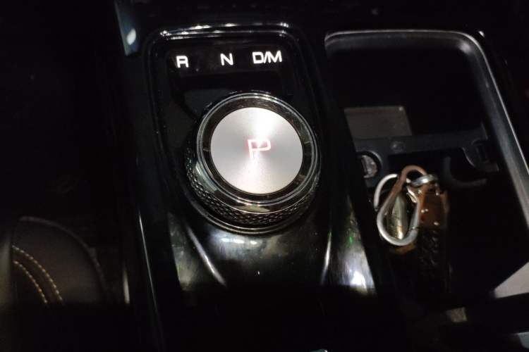 Used Haval DARGO 2021 2.0T DCT Two-Wheel Drive Chinese Mastiff Edition Gear Lever