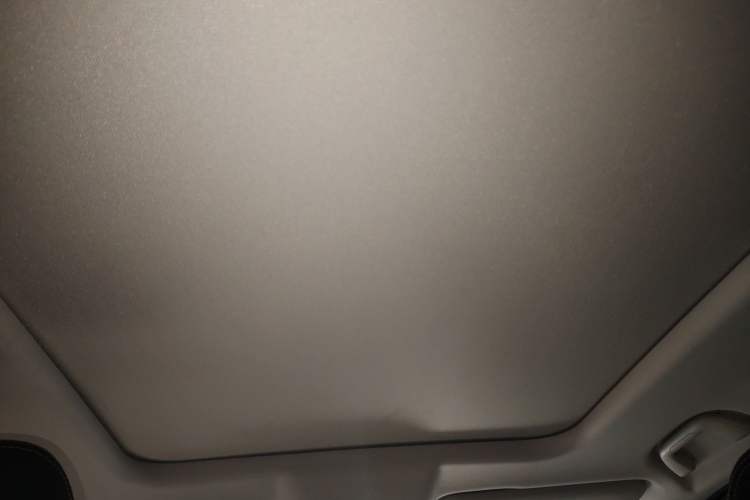 Used Haval DARGO 2021 2.0T DCT Two-Wheel Drive Chinese Mastiff Edition Headliner
