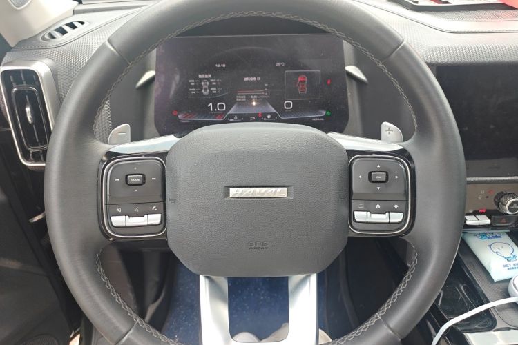 Used Haval DARGO 2021 1.5T DCT Two-Wheel Drive "Wangcai" Edition Steering Wheel