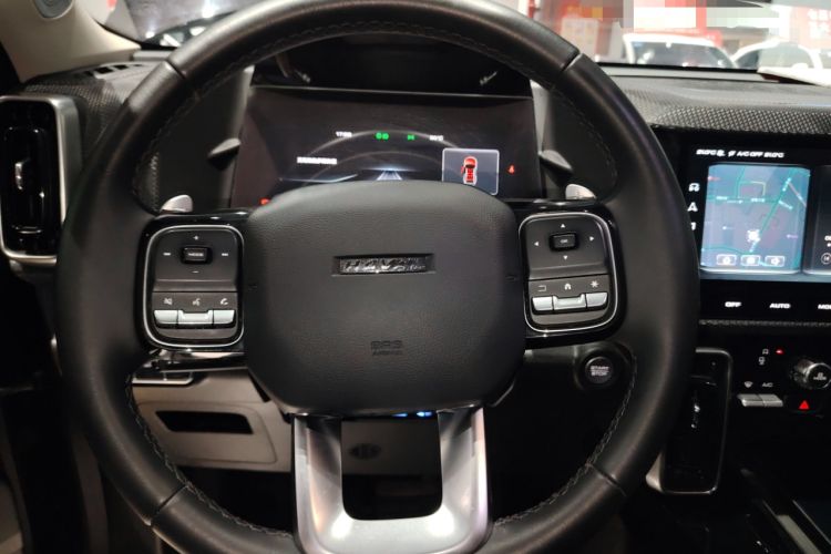 Used Haval DARGO 2021 2.0T DCT Two-Wheel Drive Chinese Mastiff Edition Steering Wheel