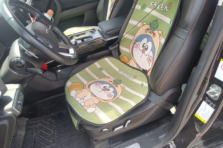 Used Haval DARGO 2021 2.0T DCT Two-Wheel Drive Chinese Mastiff Edition Left Front Seat