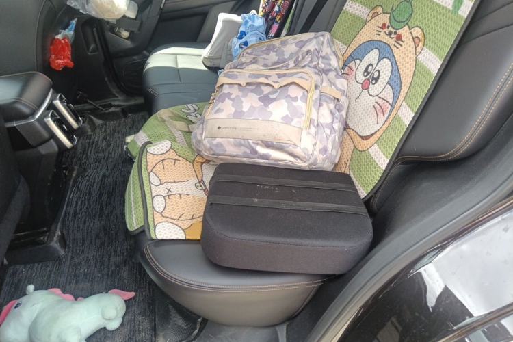 Used Haval DARGO 2021 2.0T DCT Two-Wheel Drive Chinese Mastiff Edition Left Rear Seat