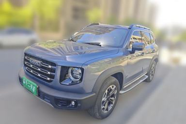 Used Haval DARGO 2021 2.0T DCT 4x4 Chinese Rural Dog Edition