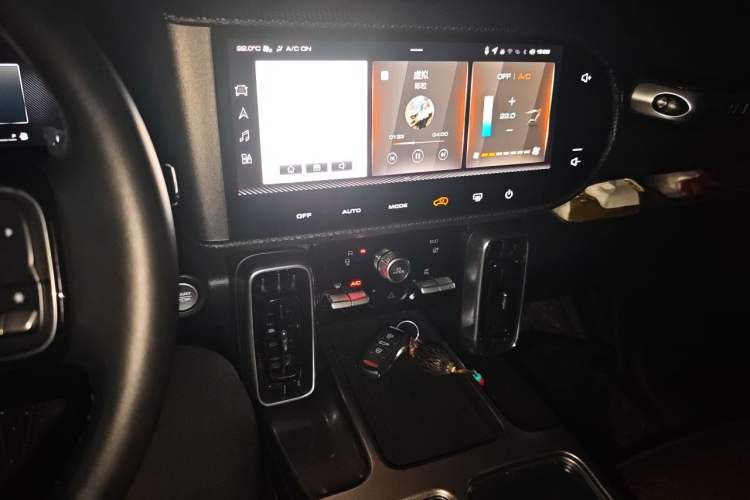 Used Haval DARGO 2021 1.5T DCT Two-Wheel Drive Labrador Edition Audio And AC Panel