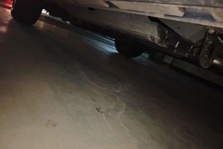 Used Haval DARGO 2021 1.5T DCT Two-Wheel Drive Labrador Edition Chassis Rear Left