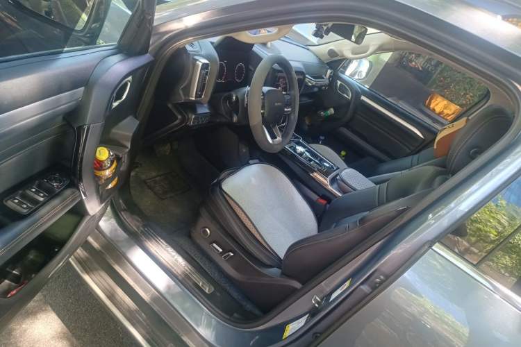 Used Haval DARGO 2021 2.0T DCT 4x4 Chinese Rural Dog Edition Driver Seat
