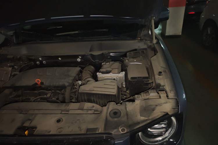 Used Haval DARGO 2021 1.5T DCT Two-Wheel Drive Labrador Edition Engine Bay Left