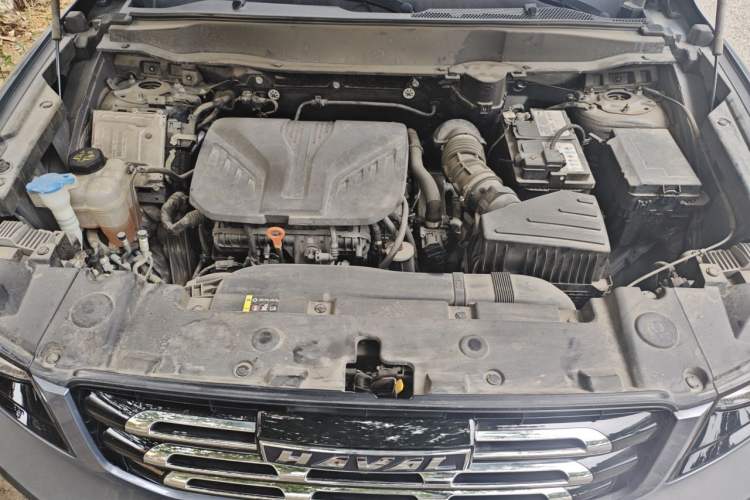 Used Haval DARGO 2021 2.0T DCT All-Wheel-Drive "Hao Tian Quan" Edition Engine Bay