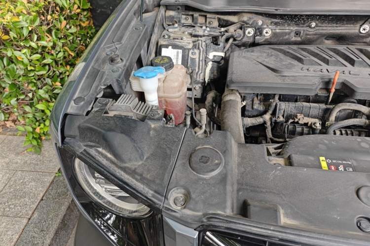 Used Haval DARGO 2021 1.5T DCT Two-Wheel Drive Labrador Edition Engine Bay Right