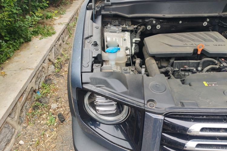 Used Haval DARGO 2021 1.5T DCT Two-Wheel Drive Border Collie - Wangcai Edition Engine Bay Right