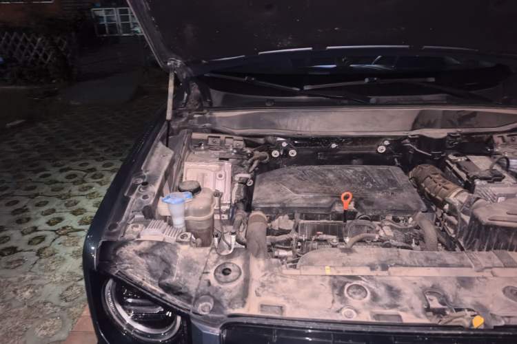 Used Haval DARGO 2021 Revised Version 1.5T DCT Two-Wheel Drive "Mǎquǎn" Edition Engine Bay Right