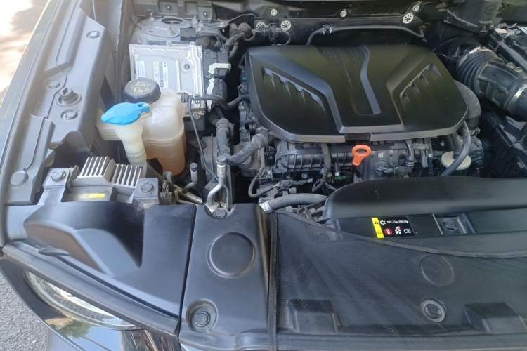 Used Haval DARGO 2021 2.0T DCT 4x4 Chinese Rural Dog Edition Engine Bay Right