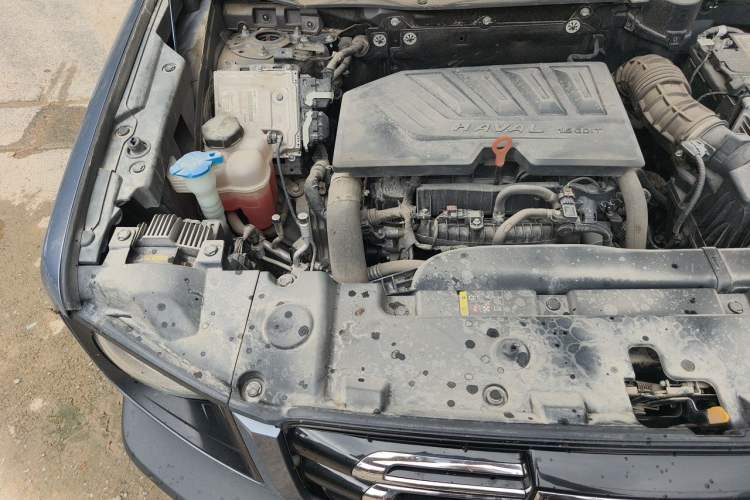 Used Haval DARGO 2021 1.5T DCT Two-Wheel Drive Border Collie Edition Engine Bay Right