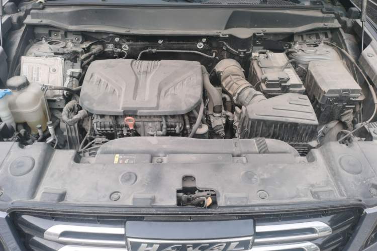Used Haval DARGO 2021 2.0T DCT All-Wheel-Drive "Hao Tian Quan" Edition Engine Bay