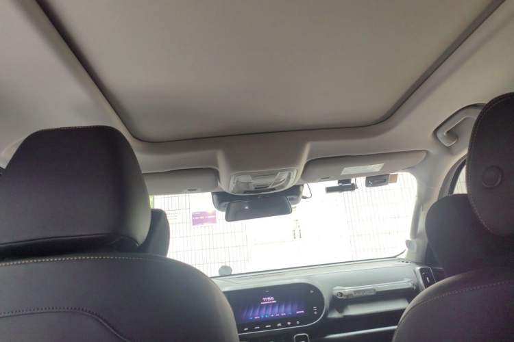 Used Haval DARGO 2021 1.5T DCT Two-Wheel Drive Border Collie - Wangcai Edition Headliner