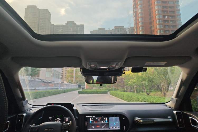 Used Haval DARGO 2021 2.0T DCT 4x4 Chinese Rural Dog Edition Headliner