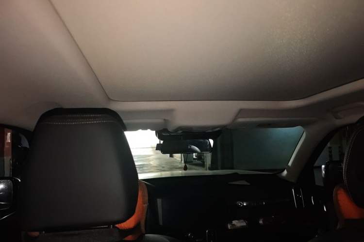 Used Haval DARGO 2021 1.5T DCT Two-Wheel Drive Labrador Edition Headliner