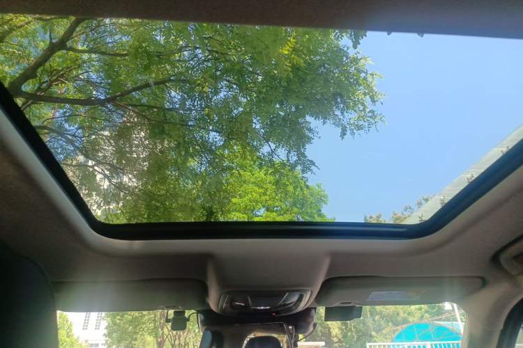 Used Haval DARGO 2021 2.0T DCT 4x4 Chinese Rural Dog Edition Headliner