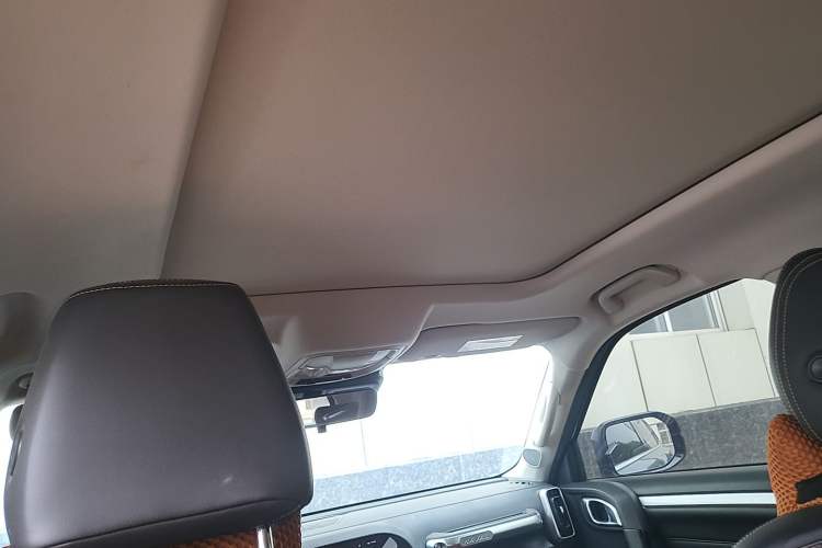 Used Haval DARGO 2021 1.5T DCT Two-Wheel Drive Border Collie Edition Headliner
