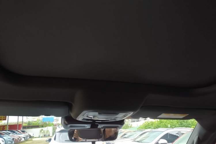 Used Haval DARGO 2021 2.0T DCT Two-Wheel Drive Chinese Mastiff Edition Headliner
