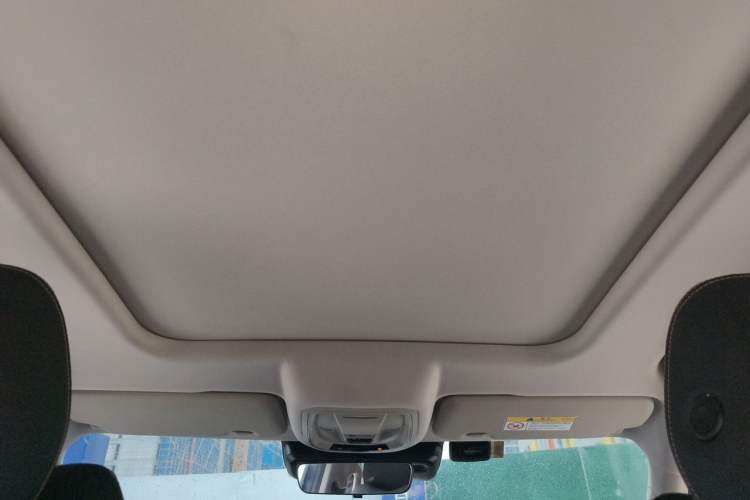Used Haval DARGO 2021 1.5T DCT Two-Wheel Drive Border Collie Edition Headliner