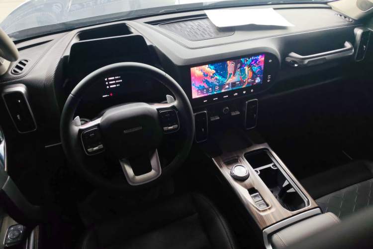 Used Haval DARGO 2021 2.0T DCT 4x4 Chinese Rural Dog Edition Interior 2