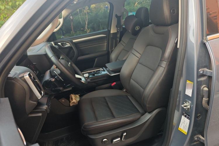 Used Haval DARGO 2021 2.0T DCT 4x4 Chinese Rural Dog Edition Left Front Seat