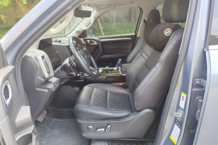 Used Haval DARGO 2021 2.0T DCT 4x4 Chinese Rural Dog Edition Left Front Seat