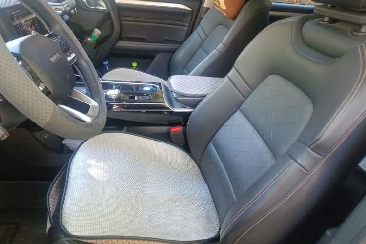 Used Haval DARGO 2021 2.0T DCT 4x4 Chinese Rural Dog Edition Left Front Seat