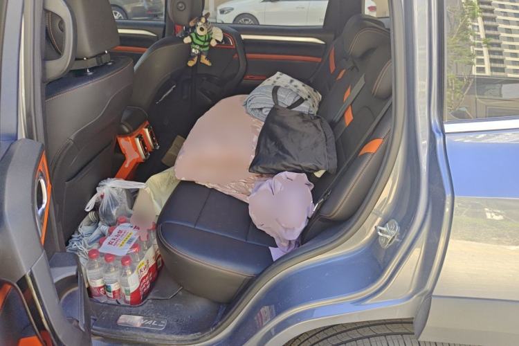 Used Haval DARGO 2021 2.0T DCT 4x4 Chinese Rural Dog Edition Left Rear Seat