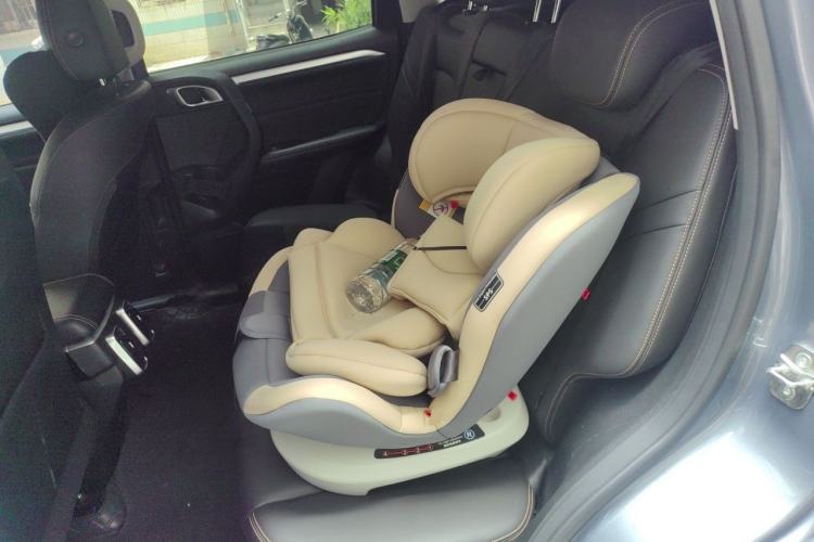 Used Haval DARGO 2021 1.5T DCT Two-Wheel Drive Border Collie - Wangcai Edition Left Rear Seat