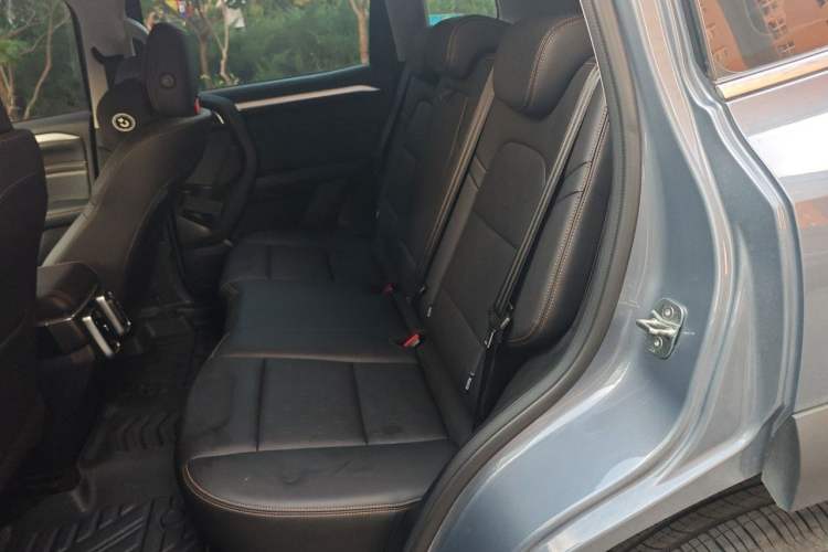 Used Haval DARGO 2021 2.0T DCT 4x4 Chinese Rural Dog Edition Left Rear Seat