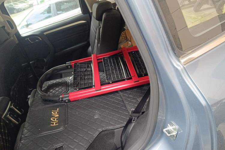 Used Haval DARGO 2021 2.0T DCT 4x4 Chinese Rural Dog Edition Left Rear Seat