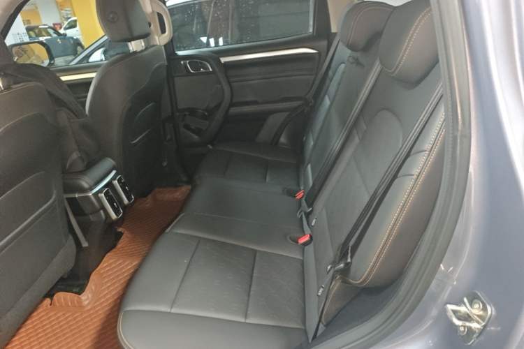 Used Haval DARGO 2021 1.5T DCT Two-Wheel Drive Border Collie Edition Left Rear Seat