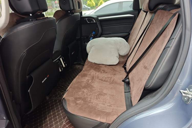 Used Haval DARGO 2021 1.5T DCT Two-Wheel Drive "Mǎquǎn" Edition Left Rear Seat