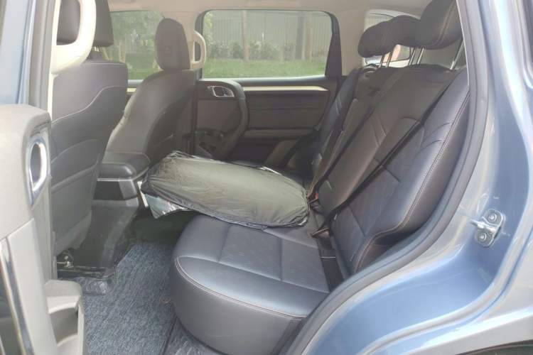 Used Haval DARGO 2021 2.0T DCT 4x4 Chinese Rural Dog Edition Left Rear Seat